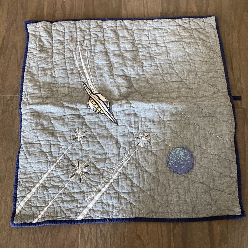 Pottery Barn Outer Space euro sham - Picture 3 of 6